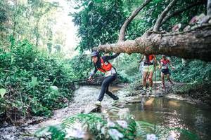 BIB: 
                            <button type="button" onclick="openModal(25436503)" class="btn btn-primary btn-sm float-right btn-popup" data-toggle="modal" data-target=".modal-high-quality">
                        <i class="fas fa-shopping-cart"></i> Add to Cart
                    </button>
                                            <button type="button" onclick="isThisMe(25436503, true)" class="btn btn-success btn-sm float-right btn-popup btn-isme hidden" data-toggle="tooltip" data-placement="bottom" title="นี่คือรูปของคุณใช่ไหม คลิกที่นี่เพื่อเอาเข้าอัลบั้ม">
                        <i class="fas fa-plus"></i> Add to album
                    </button>
                    <button type="button" onclick="isThisMe(25436503, false)" class="btn btn-warning btn-sm float-right btn-popup btn-isnotme hidden">
                        <i class="fas fa-ban"></i> Remove from album
                    </button>